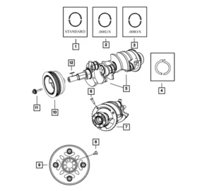 You will find the part as reference #10 in the illustration