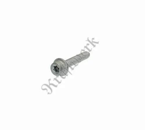 Transmission oil pan bolt 5-speed automatic transmission (NAG1)