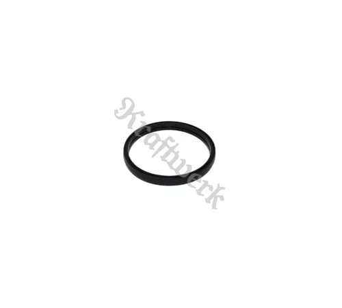 Thermostat seal