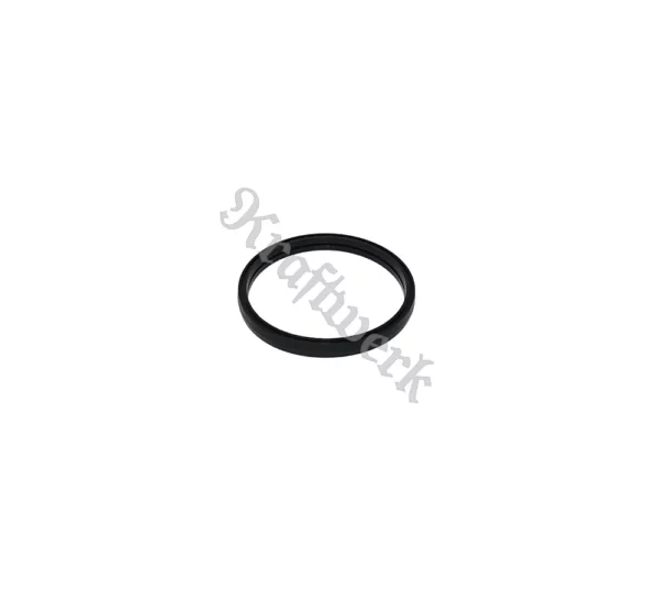 Thermostat seal