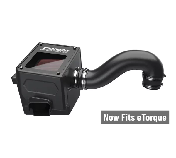 Presa d'aria fredda Corsa DryTech per RAM 1500 5.7